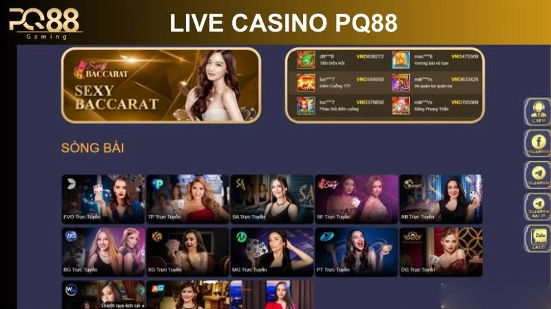 PQ88 24 Sản phẩm cược